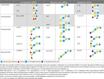 Biological effects of combinations of structurally diverse human milk oligosaccharides